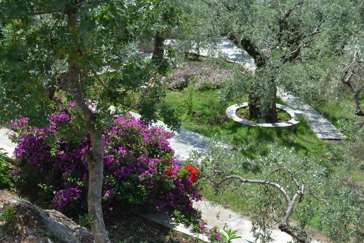 Lefkothea Studios Χόρτο Εξωτερικό φωτογραφία